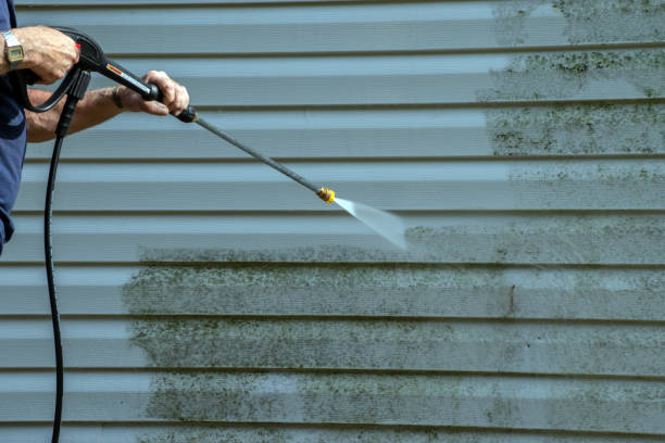 Best Affordable Pressure Washing  in Rural Hill, TN