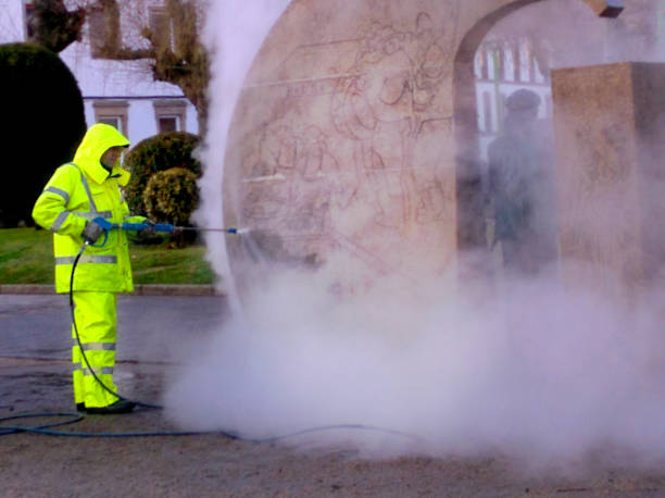 Best Roof Pressure Washing  in Rural Hill, TN
